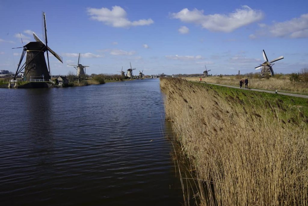 Molens langs Kinderdijk