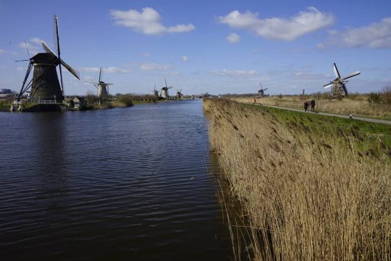 Molens langs Kinderdijk