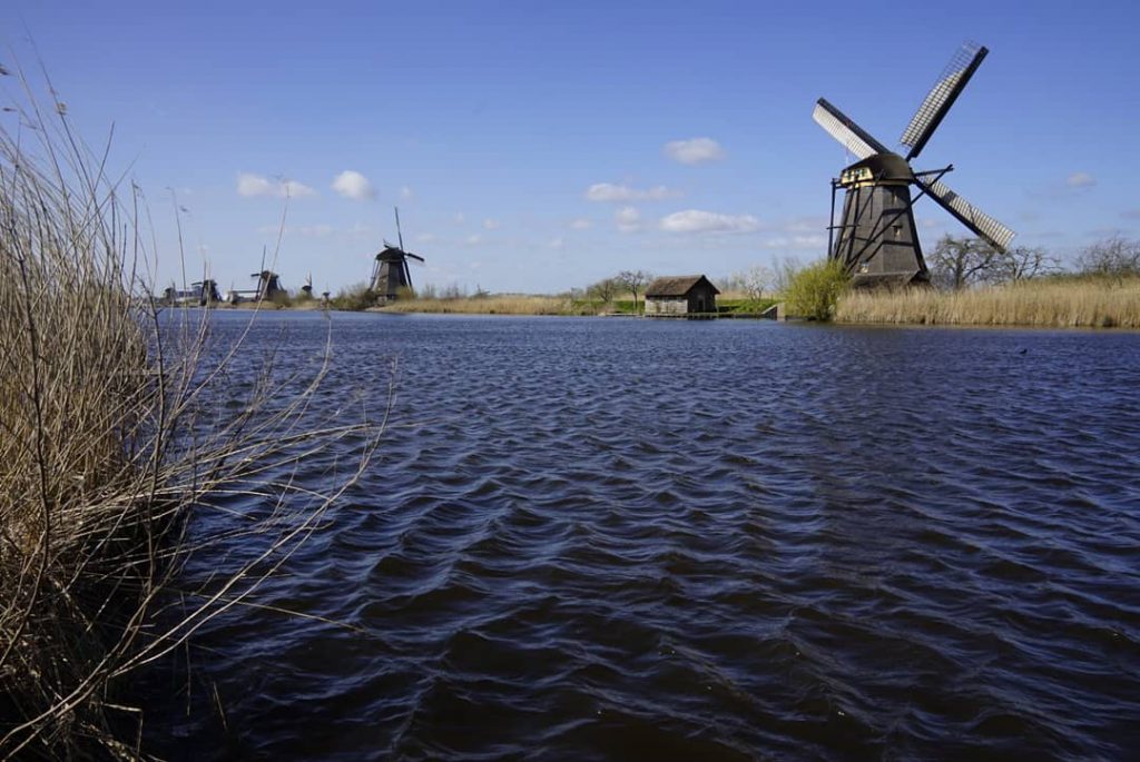 Molens langs Kinderdijk