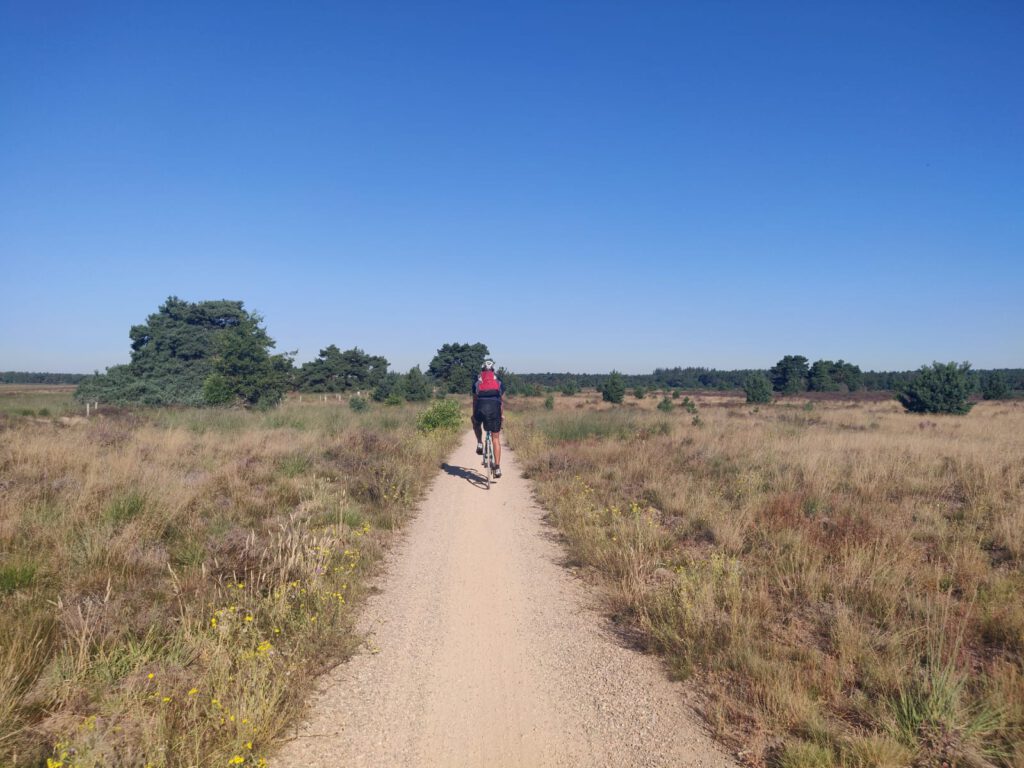 Heidegebied onder Eindhoven