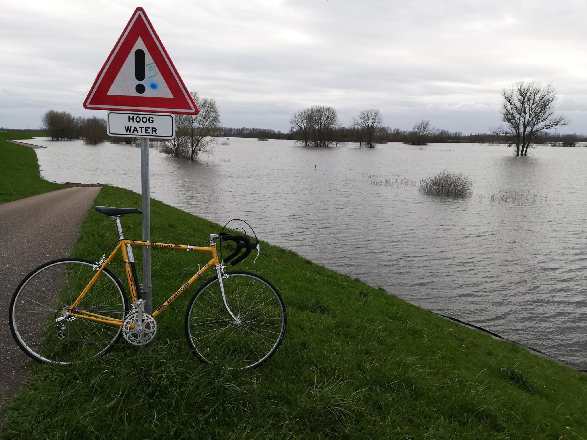 Gigi Bianchi geel hoog water